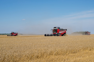 Fototapeta premium Several Combine Harvesters in the Field