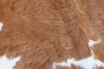 Cow fur texture