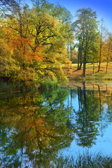 The bright autumn wood is reflected in the lake