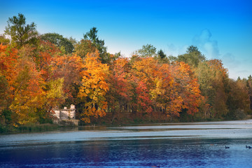 The bright autumn wood is reflected in the lake