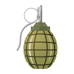 Hand grenade on a white background.