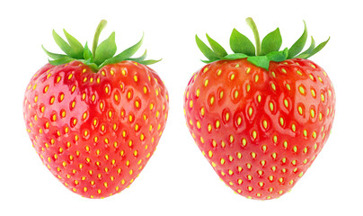Isolated strawberries. Two fresh strawberry fruits with stems isolated on white background