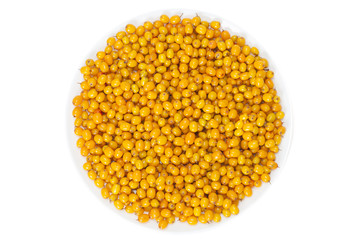 The harvest of seabuckthorn (Hippophae rhamnoides)