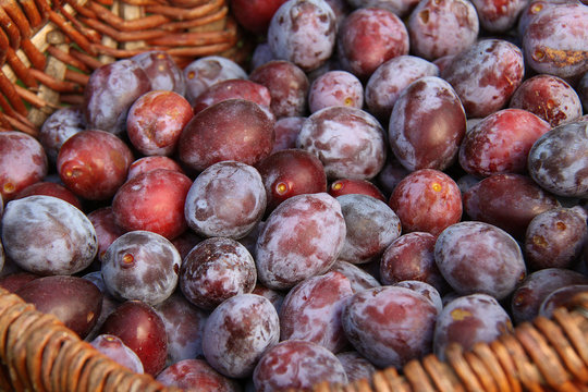 prunes