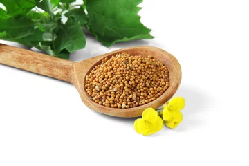 Tuinposter Mustard seeds in wooden spoon with mustard flower isolated © Africa Studio