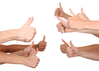 Many hands of participation isolated on white