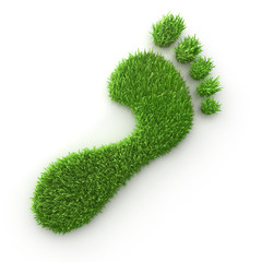 Single green footprint