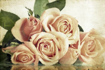 Wall murals Roses Pink roses covered with dew on vintage background