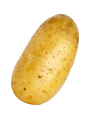 Potato