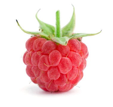 Sweet raspberry