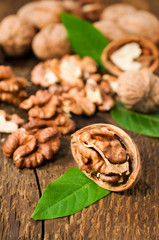 Walnuts with green leaves