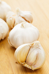 Garlic