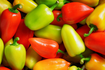 Fresh sweet peppers. Vegetable background