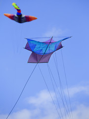 Japanese Sode Dako kite with stingray kite