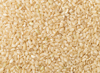 Uncooked brown rice