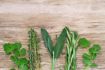 Fresh herbs on wooden surface with copy space
