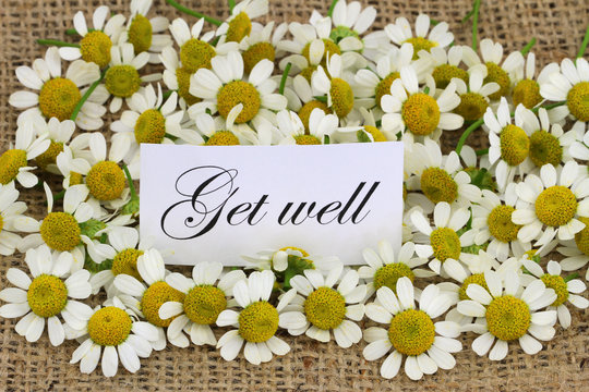 Get well card with chamomile flowers on jute surface - Powered by Adobe