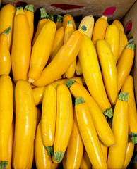 Fresh yellow squash in a carboard box