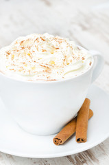 cup of cocoa with cinnamon and whipped cream, vertical