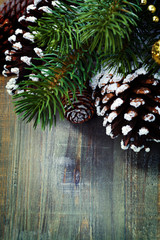 Christmas tree and cones