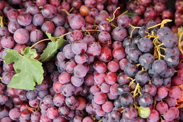 rote Trauben auf dem Wochenmarkt