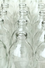 Group of empty glass bottles