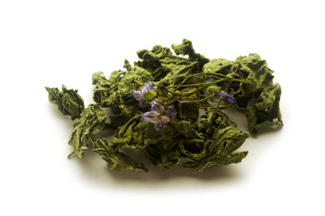 Malva sylvestris