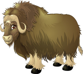 yak