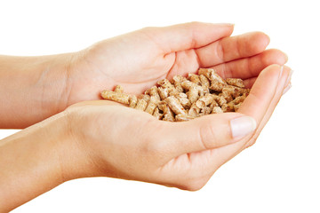 Hände halten Pellets aus Holz