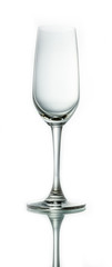 Wine glass