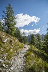 Fototapeta na wymiar Alpine Trail