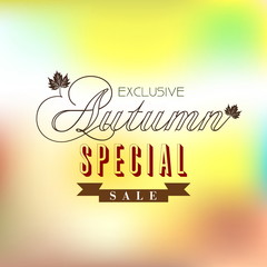 Vector fall autumn sale poster / illustration with colorful leaf