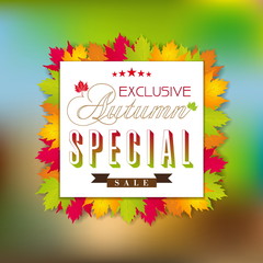 Vector fall autumn sale poster / illustration with colorful leaf