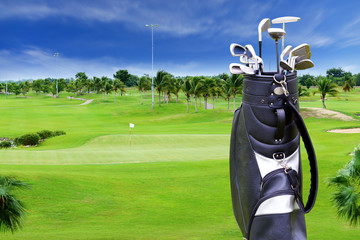 Golf course with plam tree and golf bag