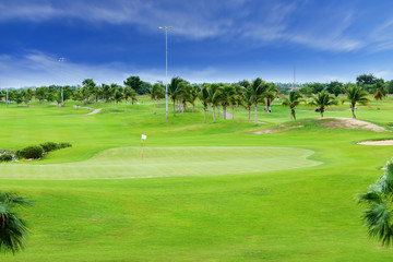 Golf course with plam tree