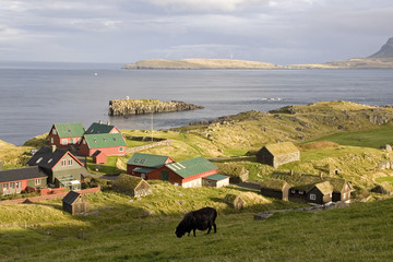 Faroe Islands - obrazy, fototapety, plakaty