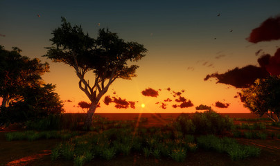 Fototapeta na wymiar landscape tree in sunset