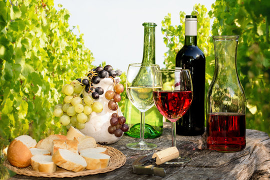 Weinverkostung im Weinberg