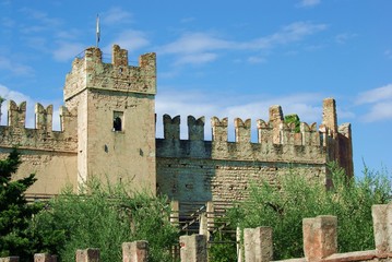 Obraz premium Burgruine