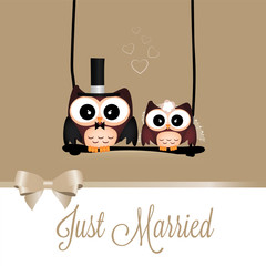 Just married owls