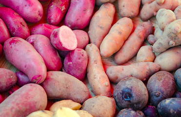 kartoffeln 0809a