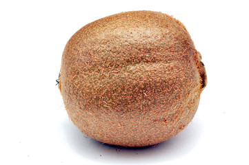 kiwi fruit on a white background