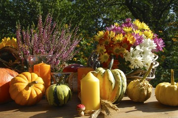 Herbstgrüße