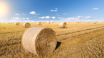straw bales in august