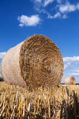 straw bales in summer