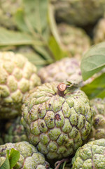 Custard apple