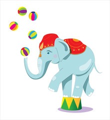 Circus elephant as acrobat