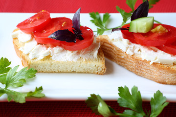 Toast with cheese and tomato slices on a plate