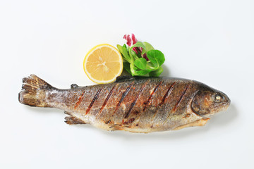 Grilled trout