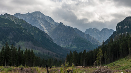 Javorova Valley in Tatry Mountains in Slovakia